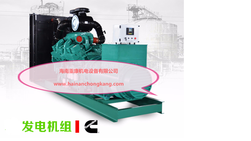 南寧玉柴柴油發(fā)電機(jī)組訂購現(xiàn)場案例